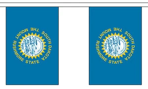 SOUTH DAKOTA U.S. STATE 3 metre BUNTING 10 FLAGS flag USA AMERICA AMERICAN - Picture 1 of 1