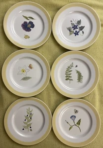 Set of 6 Williams-Sonoma SUMMER STUDIES Salad Plates 7 3/4” Japan - Picture 1 of 14