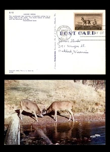 Mayfairstamps US FDC 1956 Pronghorn Antelope Bucks Fighting First Day Card aat_1 - Picture 1 of 2