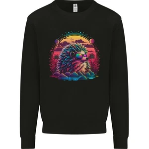 A Retro Hedgehog Kids Sweatshirt Jumper - Picture 1 of 3
