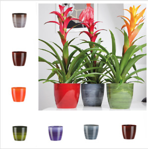 Flower Pots Plant Pots 6.Colours Marble Plastic Plant Pots Planter  Round Deco