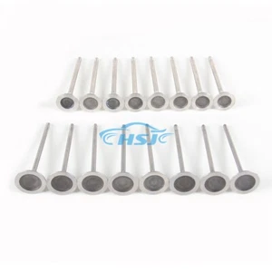 Kit de válvulas de admisión y escape 2.0T apto para BMW 220i 320i 520i X5 X6 Z4 - Imagen 1 de 12