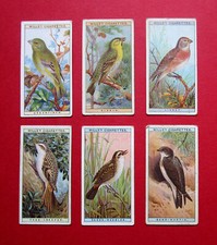 WILLS  SIX 1915 ANTIQUE  CIGARETTE CARDS  BRITISH BIRDS  No's  2-7-8-17-26-43