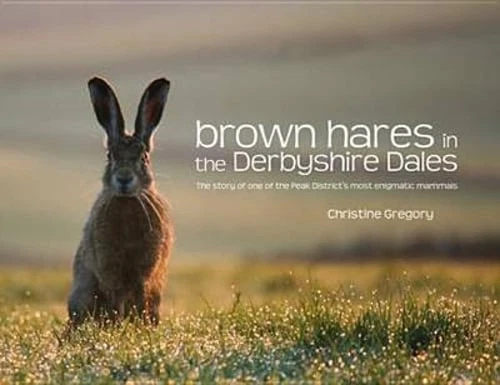 Brown Hares in the Derbyshire Dales: The Story of One of the Peak District's - Image 1 of 1