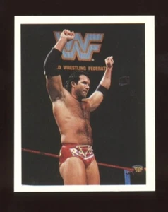 Scott Hall Razor Ramon 1992 WWF WWE Merlin Wrestling Sticker #155 Rookie Card - Bild 1 von 2