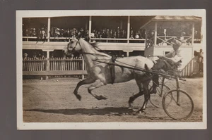RPPC C1910 ARNÉS CARRERAS Carreras de caballos CLOSE UP Jockey Sulky Carro FERIA DEL CONDADO - Imagen 1 de 2
