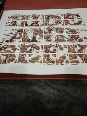 Conjunto completo Bev Doolittle Hide and Seek - Imagem 1 de 4