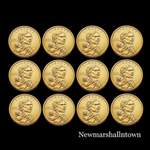 2010 2011 2012 2013 2014 2015 P+D Native American Sacagawea Mint Set of 12  - Picture 1 of 1