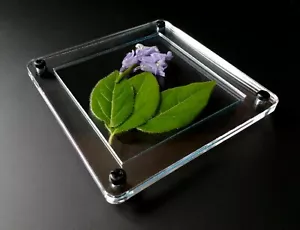 FILL YOUR OWN Custom Coasters! Put Anything Inside -Display Your Pressed Flowers - Picture 1 of 8