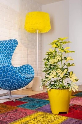 Übertopf Luna, der kluge Übertopf für den Innenbereich  Ø 30 25 22 18 16 cm - Bild 1 von 4