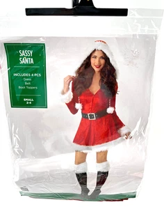 Traje Yourself Costume Co “Sassy Santa” Talla S 2-4 Vestido Cinturón Botas Peludas Toppers - Imagen 1 de 5