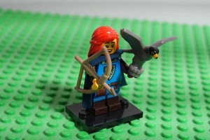LEGO Minifiguras Serie 24 - Falconer (71037) - Imagen 1 de 1