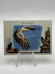 2023 Topps Allen & Ginter Secretarybird #TT-11 (NM) - Foto 1 di 2