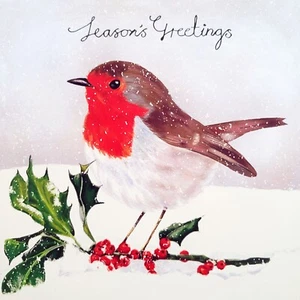 Robin In Snow With Holly Berries Single Christmas Charity Seasons Greetings Card - Picture 1 of 1