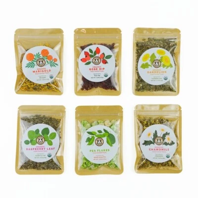 GuineaDad Treat Sampler - Safe, Healthy, Organic Guinea Pig Treats 6 Flavors