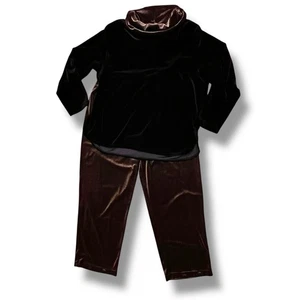 Conjunto de Pullover y Pantalones Informales Coldwater Creek Lux Terciopelo Talla Pequeña L Negro Marrón - Imagen 1 de 10