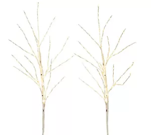 Pottery Barn Faux Lit White Birch Branches Set of 3 NEW IN BOX - Picture 1 of 1