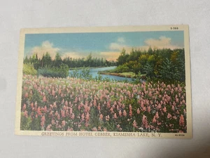 GREETINGS FROM HOTEL GEBBER, KIAMESHA LAKE, NY POSTCARD - Picture 1 of 7