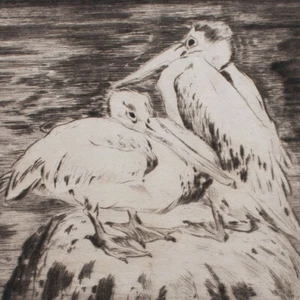 Hermann Fritz Neumann pelícanos pintura de animales Art Nouveau firmado grabado siglo XX - Imagen 1 de 4