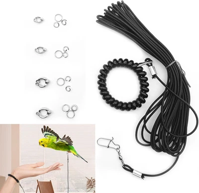 6 M Haustier Papagei Vogel Geschirr Und Leine Vogelleine Papageiengeschirr Leine - Bild 1 von 4