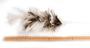 Long feather bunch Millinery Fascinators Hats Making 100% AU Seller - Picture 1 of 2