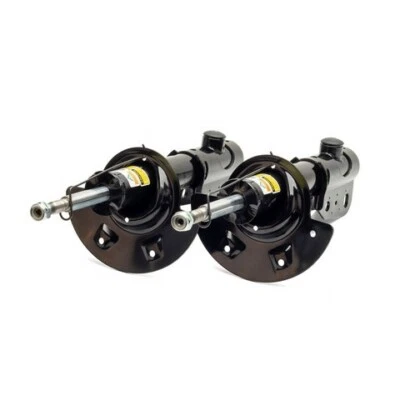 Arnott SK-2189 减震器套件 适合特定通用型号 — 第 1/4 张图片