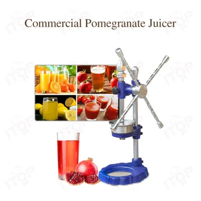 Commercial Fruit Squeezer Pomegranate Juicer Fruit Processor For Citrus Fruits - Image 1 of 4
