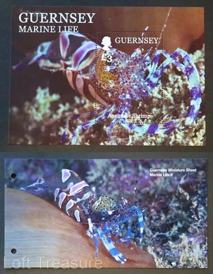 Guernsey Stamps: "Marine Life II-Crustaceans" £3 M/S MNH Presentation Pack 2014 - Image 1 of 4