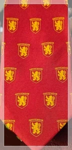 HARRY POTTER NOVELTY NECKTIE - Picture 1 of 3