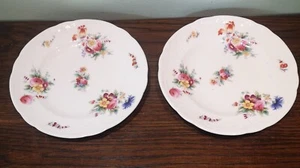 Par de placas laterales vintage Coalport de 8,5" de diámetro floral harina de maíz  - Imagen 1 de 5