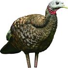 Avian-X Breeder Hen Turkey Decoy, Lifelike Collapsible Decoy With Carbon Stake