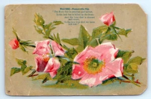 Cartolina antica vintage bouquet di rose selvatiche piacere dopo dolore floreale A8 - Foto 1 di 2