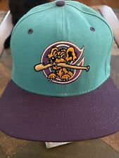Vintage 90’s Charleston RiverDogs Snapback Hat Cap MiLB New Era Wool Blend USA