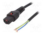 1 pcs x IEC LOCK - IEC-PC1405 - Cable, IEC C19 female,wires, PVC, 4m, with IEC L