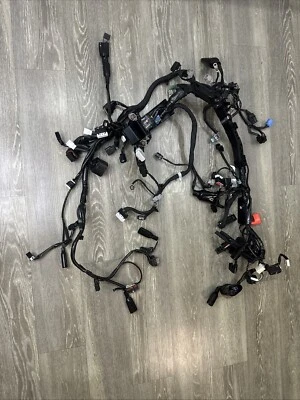 Telar de cableado Honda CBR1000rr 2024-25, arnés, CBR 1000 RR, Fireblade Foto 1 de 4