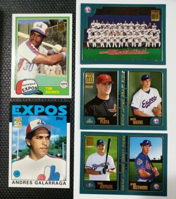 2001 年 Topps MONTREAL EXPOS 球队套装带交易和新秀重印 28 张卡 — 第 1/4 张图片