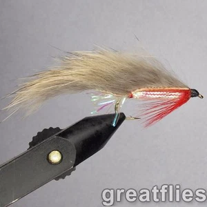 1 Dutzend (12) - Zonker - NATURAL - Bild 1 von 1