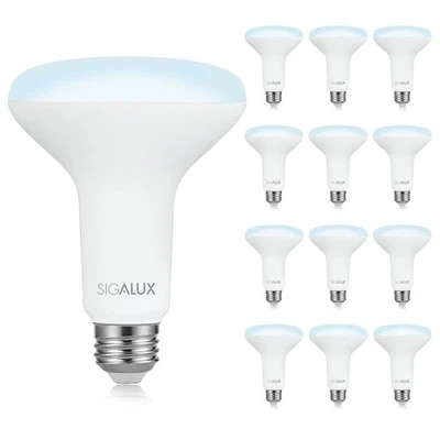 Flood Lights Indoor, BR30 Bulb 100W Equivalent, Dimmable Recessed Light Bulbs... - Image 1 of 4