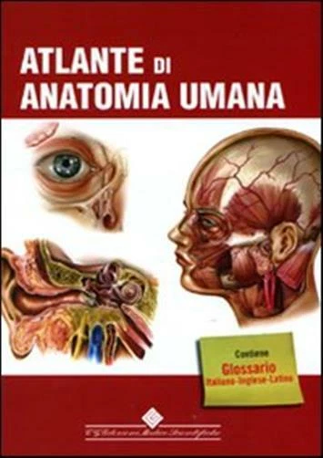 Atlante di anatomia umana. Ediz. illustrata - AA.VV. - Immagine 1 di 1