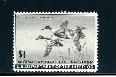U.S. #RW12 (U181) Federal Duck 1945 Shoveller, MNH, FVF, CV$100.00 - Image 1 of 2