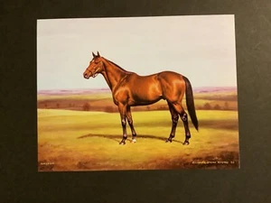 NASHUA Horse Racing CHAMPION - Picture 1 of 1