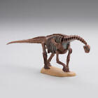 Capsule Q dinosaur sculpting Mini Figure Camarasaurus Skeleton fossil Kaiyodo