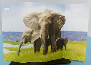 I.F.A.W. ~ Elephants in Crisis - poster w/ informational on reverse (c. 2022) - Picture 1 of 2