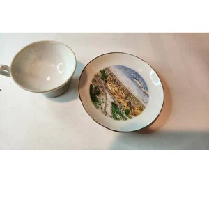 VINTAGE Grand Canyon National Park Arizona Souvenir Tea Cup & Saucer Set - Picture 1 of 5