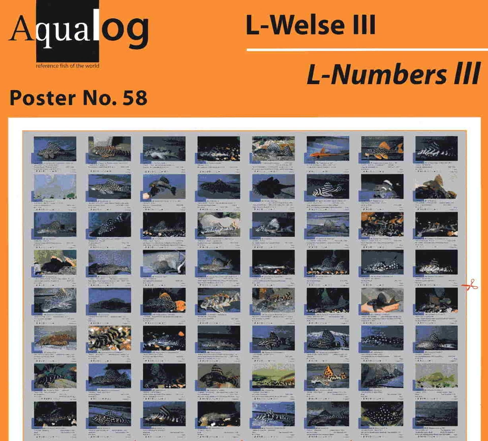 AQUALOG Poster The Most Beautiful L-Numbers, LAMINATED - Image 1 of 1