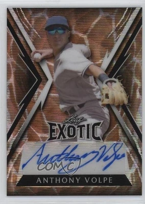 2023 Leaf Exotic Giraffe Wave /4 Anthony Volpe #BA-AV2 Rookie Auto RC - Image 1 of 2
