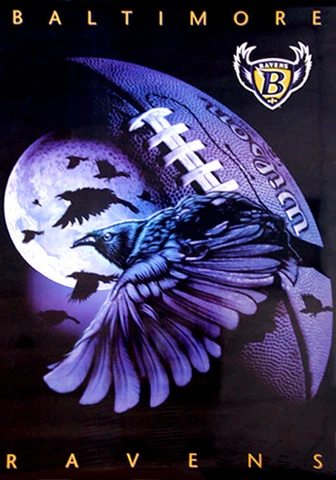 Baltimore Ravens 1997 Pro Player Design NFL Theme Art WALL POSTER (Rare Edition) Cover