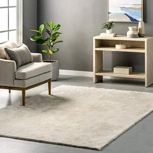 nuLOOM Loni Transitional Cream Indoor Only Washable Accent Rug - Picture 1 of 9