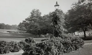 VINTAGE PHOTO Golf Course Williamsburg Inn Virginia Pool Lamp Post B&W 1949 - Picture 1 of 3