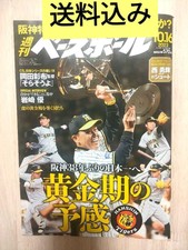 Nippon Ichi Memorial Hanshin Tigers Special Weekly Baseball